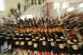 Enlarge photo 231