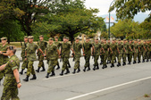 Enlarge photo 55