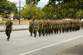 Enlarge photo 58