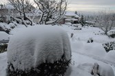 Enlarge photo 8
