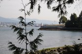 Enlarge photo 33