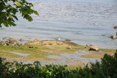 Enlarge photo 36