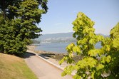 Enlarge photo 38