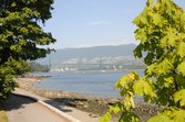 Enlarge photo 40