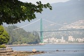 Enlarge photo 41