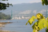 Enlarge photo 44