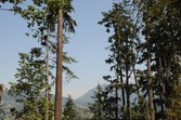 Enlarge photo 45