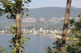 Enlarge photo 49