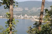 Enlarge photo 46