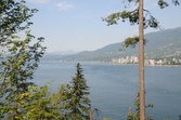 Enlarge photo 47