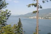 Enlarge photo 50