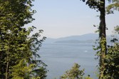 Enlarge photo 51