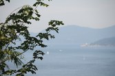 Enlarge photo 53