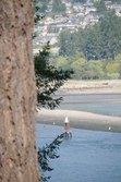 Enlarge photo 52