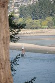 Enlarge photo 54