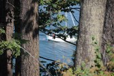 Enlarge photo 57