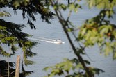 Enlarge photo 56