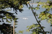 Enlarge photo 58