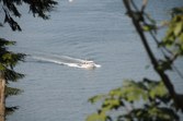 Enlarge photo 59