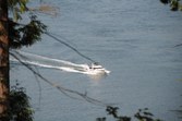 Enlarge photo 61