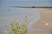 Enlarge photo 66