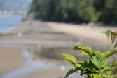 Enlarge photo 68