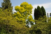 Enlarge photo 69