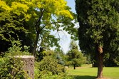 Enlarge photo 72