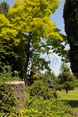 Enlarge photo 75