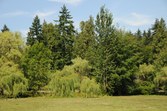 Enlarge photo 77