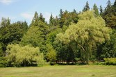Enlarge photo 78