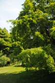 Enlarge photo 86
