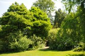 Enlarge photo 87