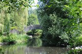 Enlarge photo 97