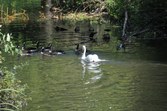 Enlarge photo 102