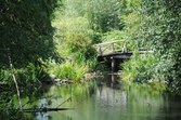 Enlarge photo 103