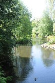Enlarge photo 104