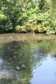 Enlarge photo 106