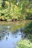 Enlarge photo 108