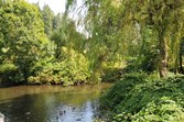 Enlarge photo 112