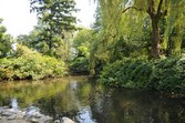 Enlarge photo 122