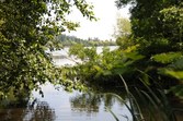 Enlarge photo 114