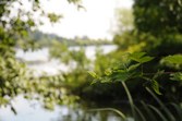 Enlarge photo 113