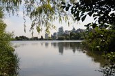 Enlarge photo 115