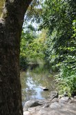 Enlarge photo 116
