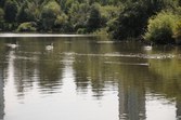 Enlarge photo 118