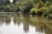Enlarge photo 120