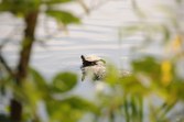 Enlarge photo 123