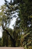 Enlarge photo 124