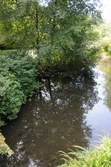 Enlarge photo 128